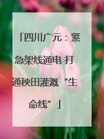四川广元：紧急架线通电 打通秧田灌溉“生命线”