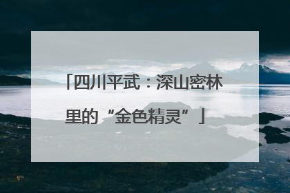 四川平武：深山密林里的“金色精灵”