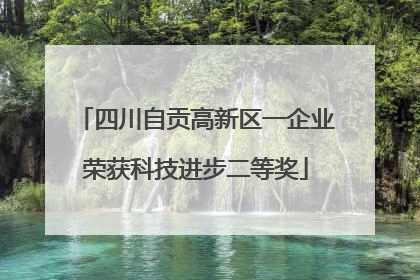四川自贡高新区一企业荣获科技进步二等奖