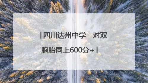 四川达州中学一对双胞胎同上600分+