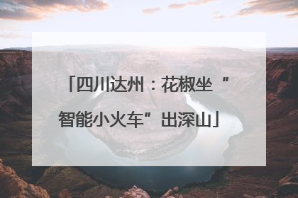 四川达州：花椒坐“智能小火车”出深山