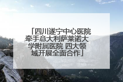 四川遂宁中心医院牵手意大利萨莱诺大学附属医院 四大领域开展全面合作