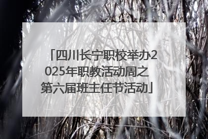 四川长宁职校举办2025年职教活动周之第六届班主任节活动