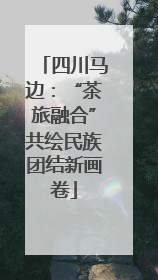 四川马边：“茶旅融合”共绘民族团结新画卷
