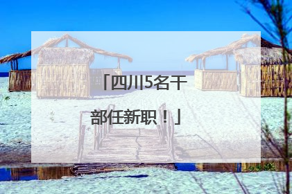 四川5名干部任新职！