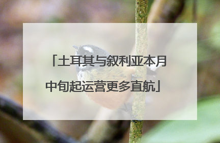 土耳其与叙利亚本月中旬起运营更多直航