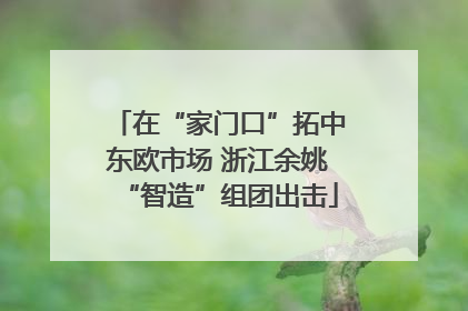 在“家门口”拓中东欧市场 浙江余姚“智造”组团出击