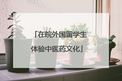 在皖外国留学生体验中医药文化