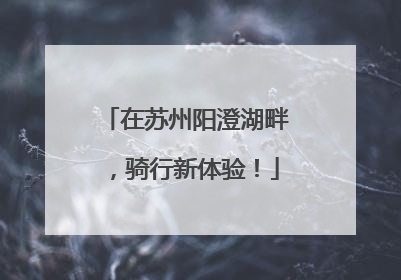 在苏州阳澄湖畔，骑行新体验！