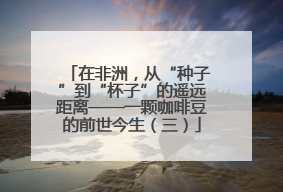 在非洲，从“种子”到“杯子”的遥远距离——一颗咖啡豆的前世今生（三）