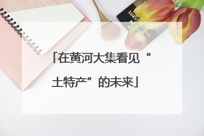 在黄河大集看见“土特产”的未来