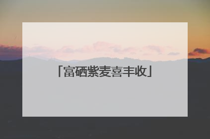 富硒紫麦喜丰收