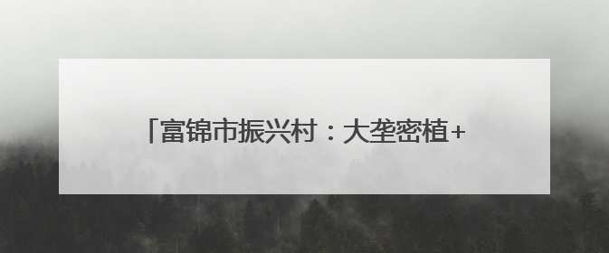富锦市振兴村：大垄密植+全程托管走出增收新路径