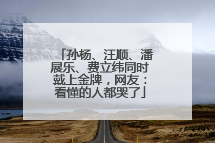 孙杨、汪顺、潘展乐、费立纬同时戴上金牌，网友：看懂的人都哭了