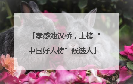 孝感池汉桥，上榜“中国好人榜”候选人