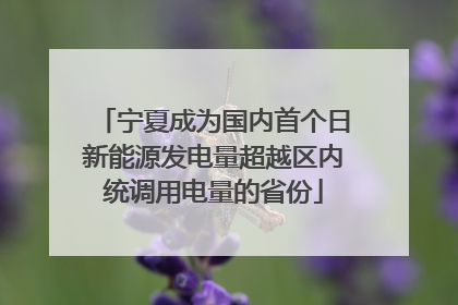 宁夏成为国内首个日新能源发电量超越区内统调用电量的省份
