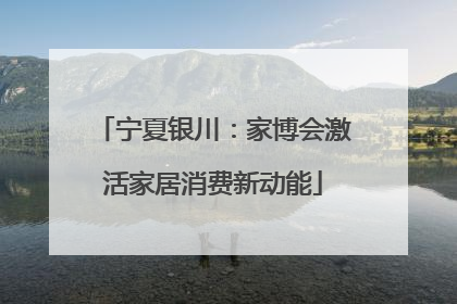 宁夏银川：家博会激活家居消费新动能
