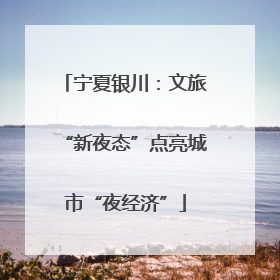 宁夏银川：文旅“新夜态”点亮城市“夜经济”