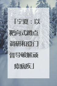宁夏：以靶向式蹲点调研和登门督导破解顽瘴痼疾