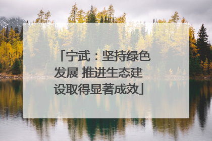 宁武：坚持绿色发展 推进生态建设取得显著成效