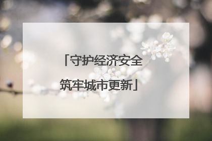 守护经济安全 筑牢城市更新