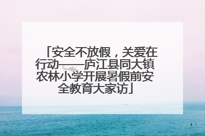 安全不放假，关爱在行动——庐江县同大镇农林小学开展暑假前安全教育大家访