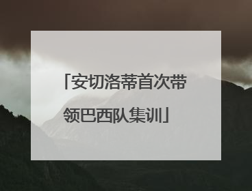 安切洛蒂首次带领巴西队集训