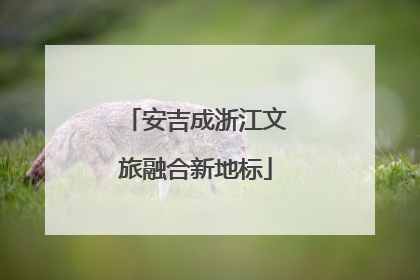 安吉成浙江文旅融合新地标