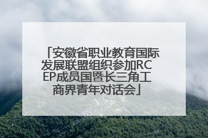安徽省职业教育国际发展联盟组织参加RCEP成员国暨长三角工商界青年对话会