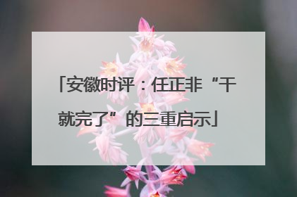 安徽时评：任正非“干就完了”的三重启示