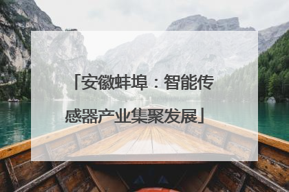 安徽蚌埠：智能传感器产业集聚发展
