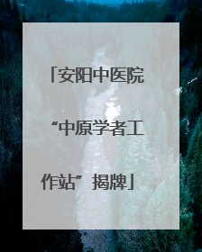 安阳中医院“中原学者工作站”揭牌