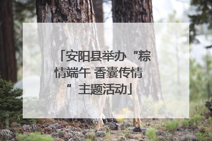 安阳县举办“粽情端午 香囊传情”主题活动