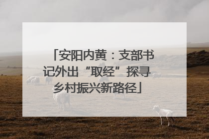 安阳内黄：支部书记外出“取经”探寻乡村振兴新路径