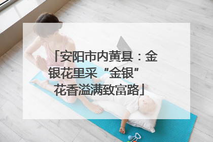 安阳市内黄县：金银花里采“金银” 花香溢满致富路
