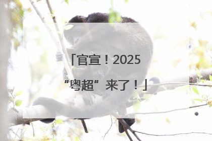 官宣！2025“粤超”来了！