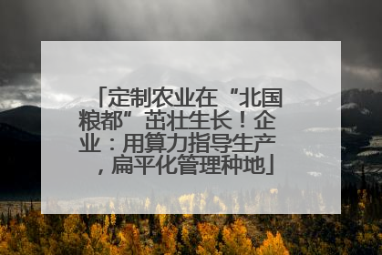 定制农业在“北国粮都”茁壮生长！企业：用算力指导生产，扁平化管理种地