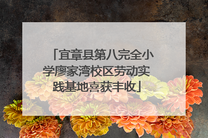宜章县第八完全小学廖家湾校区劳动实践基地喜获丰收