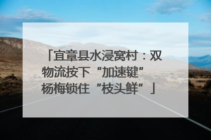 宜章县水浸窝村：双物流按下“加速键” 杨梅锁住“枝头鲜”
