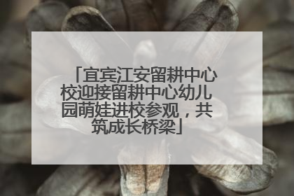 宜宾江安留耕中心校迎接留耕中心幼儿园萌娃进校参观，共筑成长桥梁
