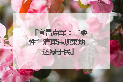 宜昌点军：“柔性”清理违规菜地 还绿于民