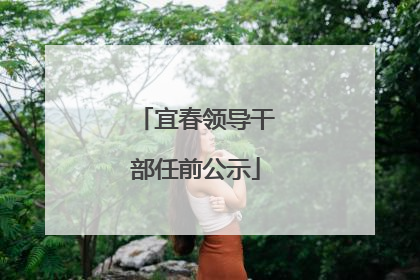 宜春领导干部任前公示