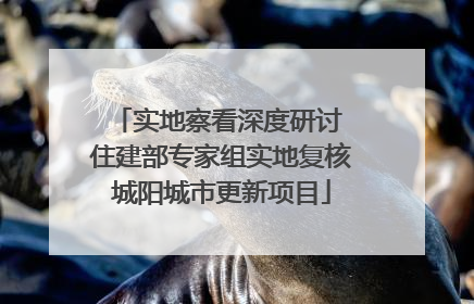 实地察看深度研讨 住建部专家组实地复核城阳城市更新项目