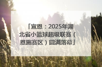 宣恩：2025年湖北省小篮球超级联赛（恩施赛区）圆满落幕