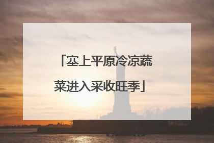 塞上平原冷凉蔬菜进入采收旺季