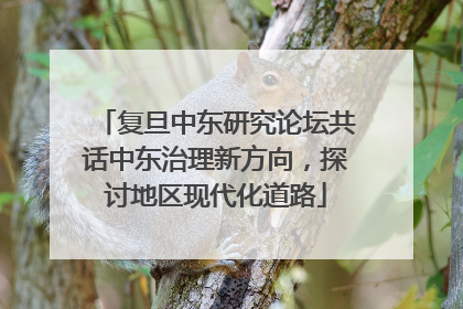 复旦中东研究论坛共话中东治理新方向，探讨地区现代化道路