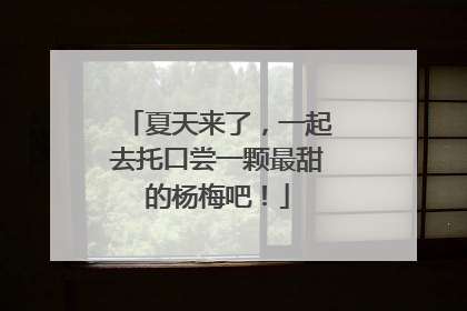 夏天来了，一起去托口尝一颗最甜的杨梅吧！