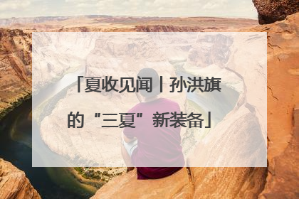 夏收见闻丨孙洪旗的“三夏”新装备