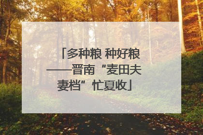 多种粮 种好粮——晋南“麦田夫妻档”忙夏收