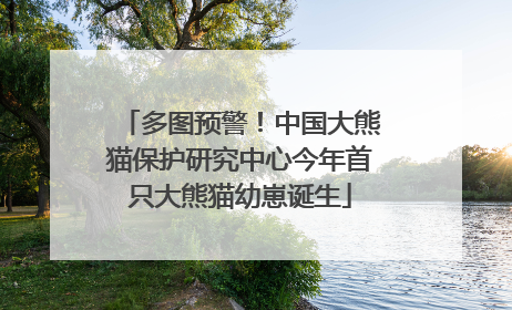 多图预警！中国大熊猫保护研究中心今年首只大熊猫幼崽诞生